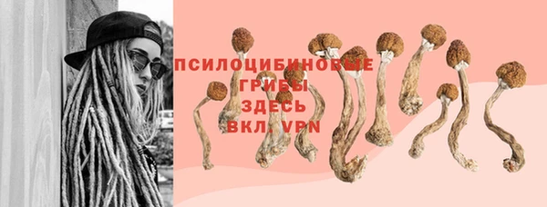 PSILOCYBIN Балахна