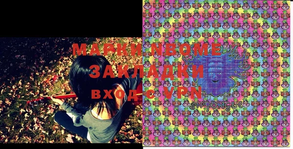 PSILOCYBIN Балахна