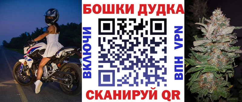магазин продажи наркотиков  hydra как войти  МАРИХУАНА сатива  Великие Луки 