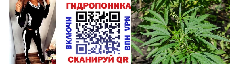 Конопля семена Великие Луки